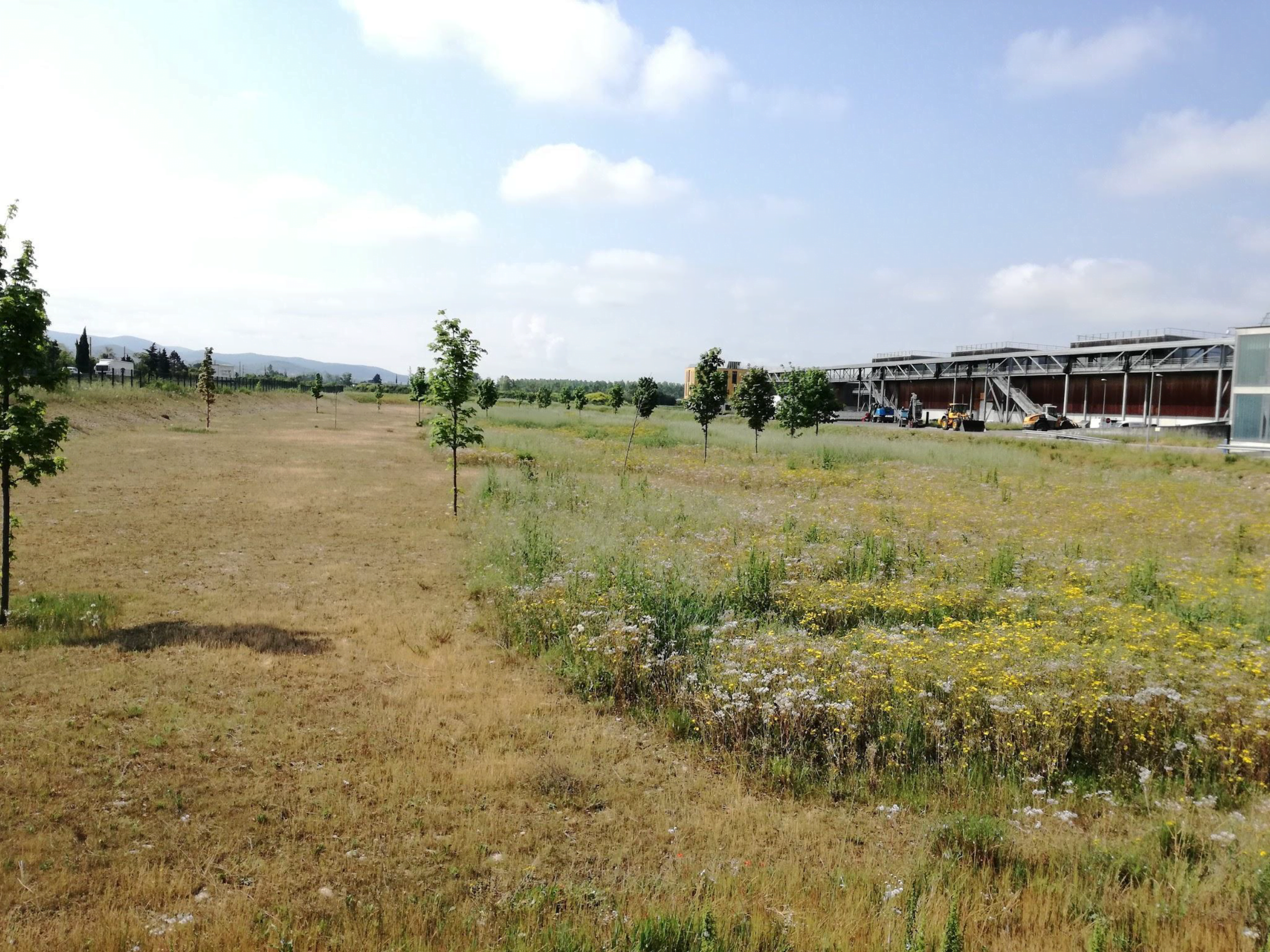 la biodiversité au coeur des préoccupations à Valaubia